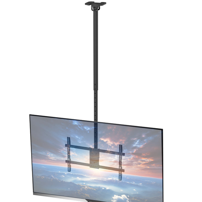 5.5ft Pole